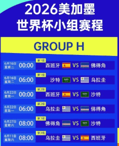 世界杯外围数据仪表盘